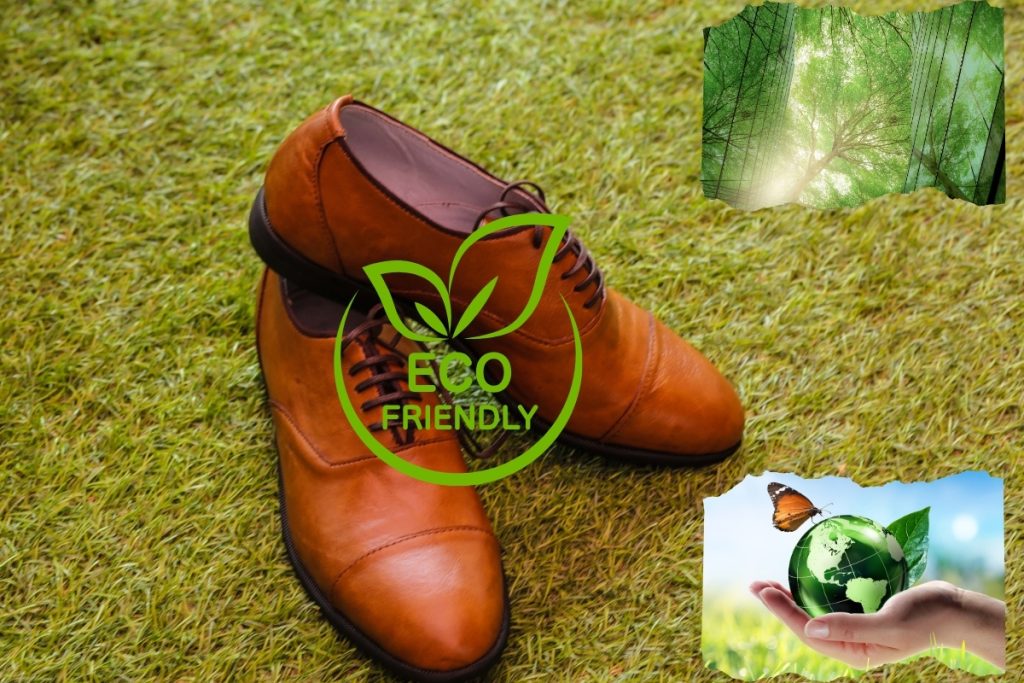 Eco Friendly Shoes